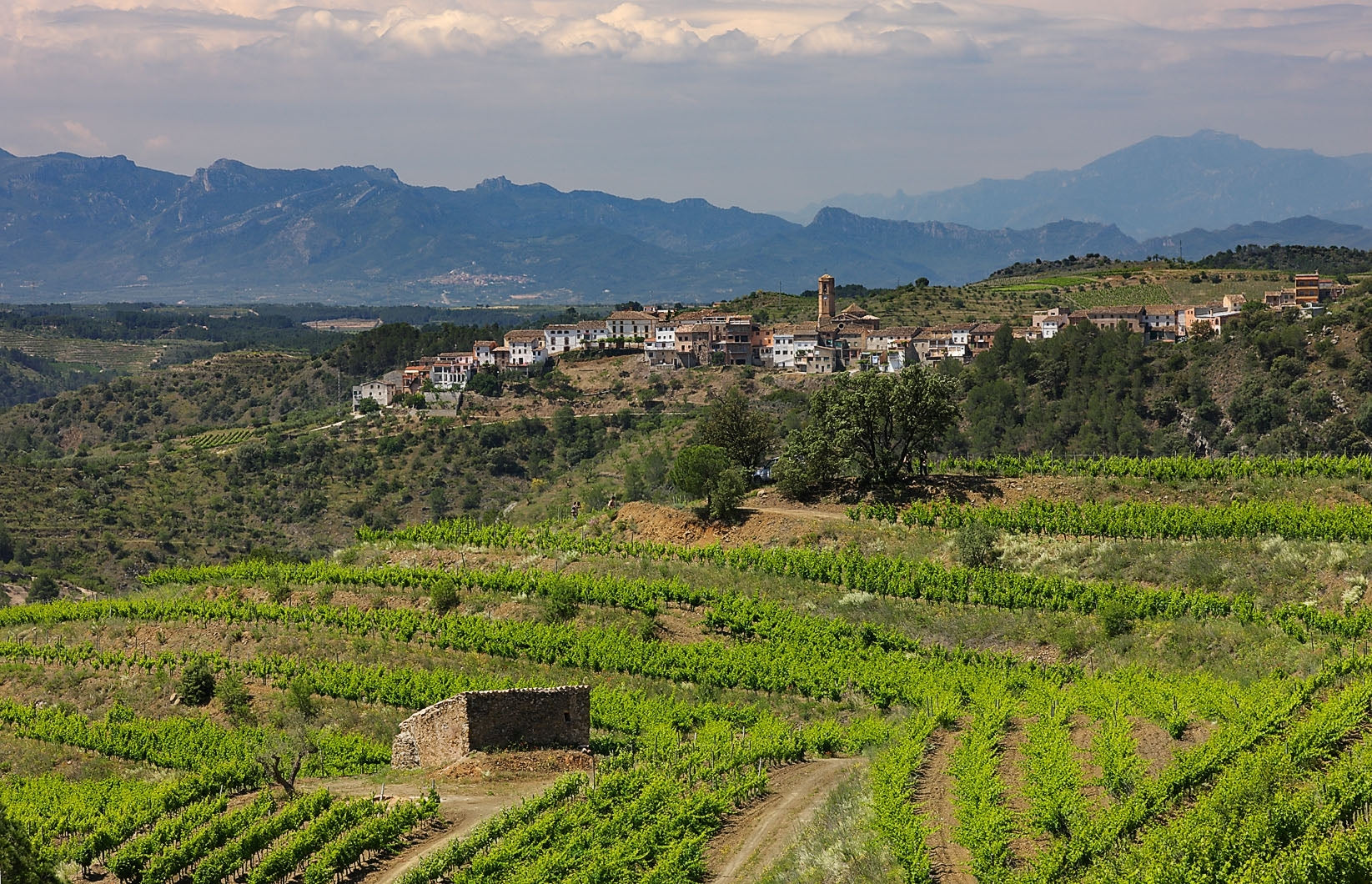 Clos Figueras