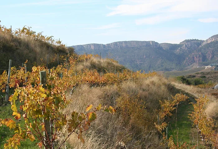 Clos i Terrasses