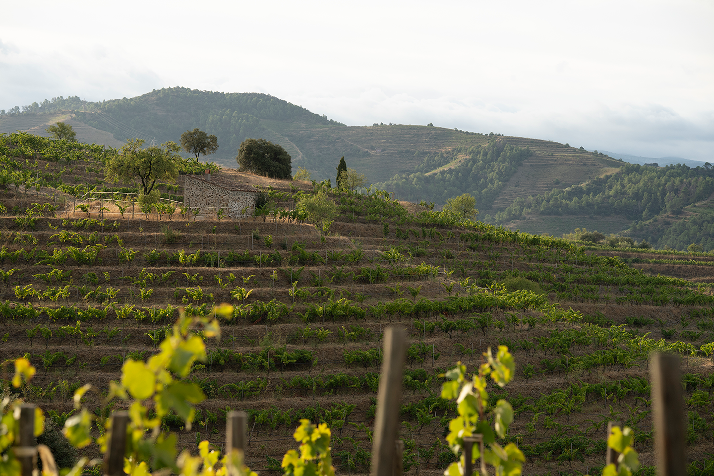 Clos i Terrasses