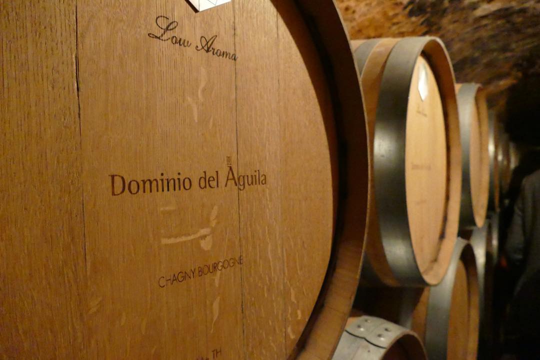 Dominio del Águila