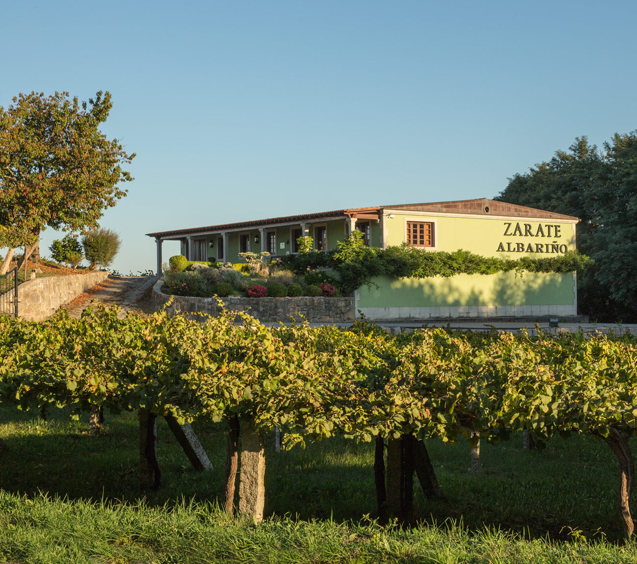Bodegas Zárate