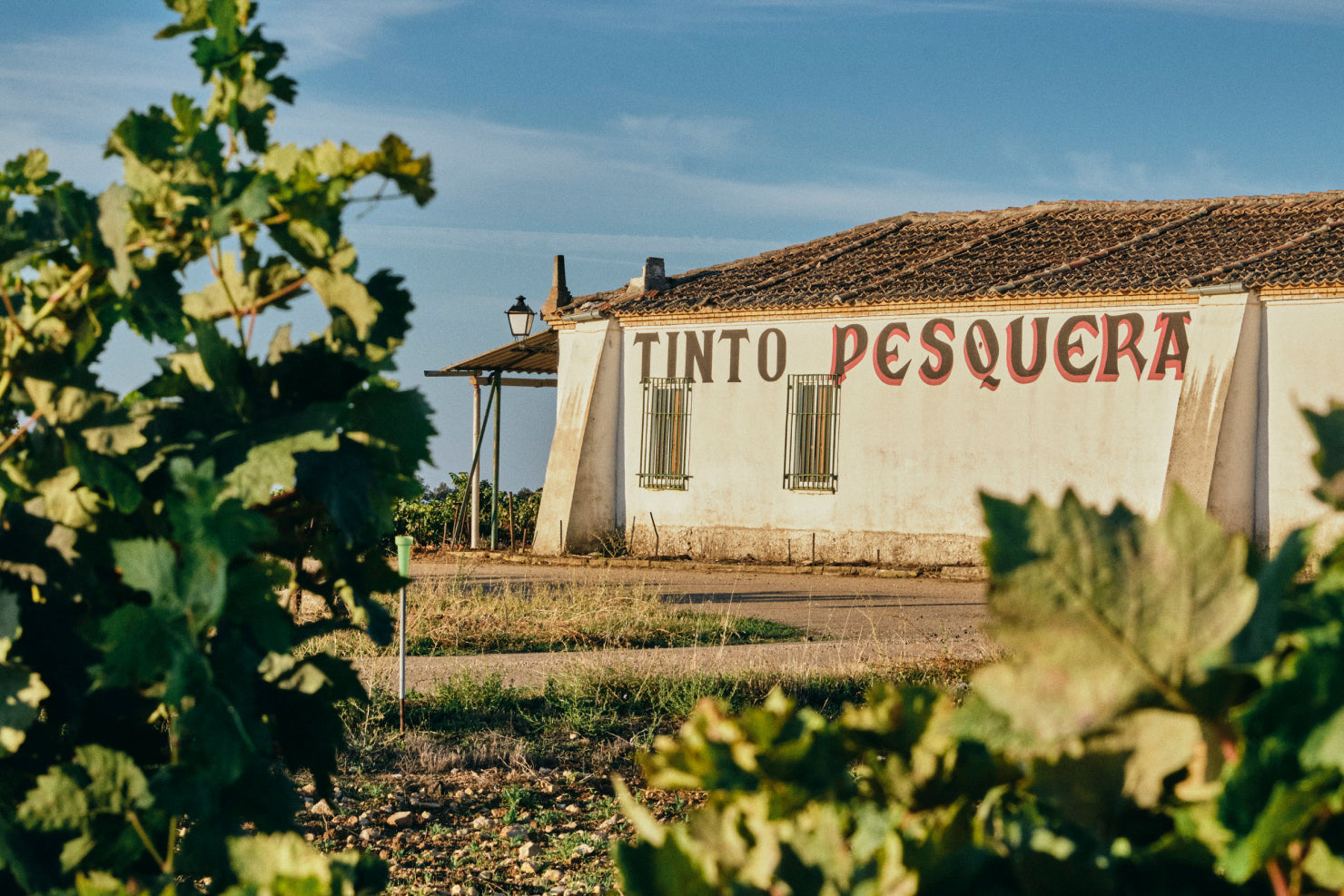 Tinto Pesquera