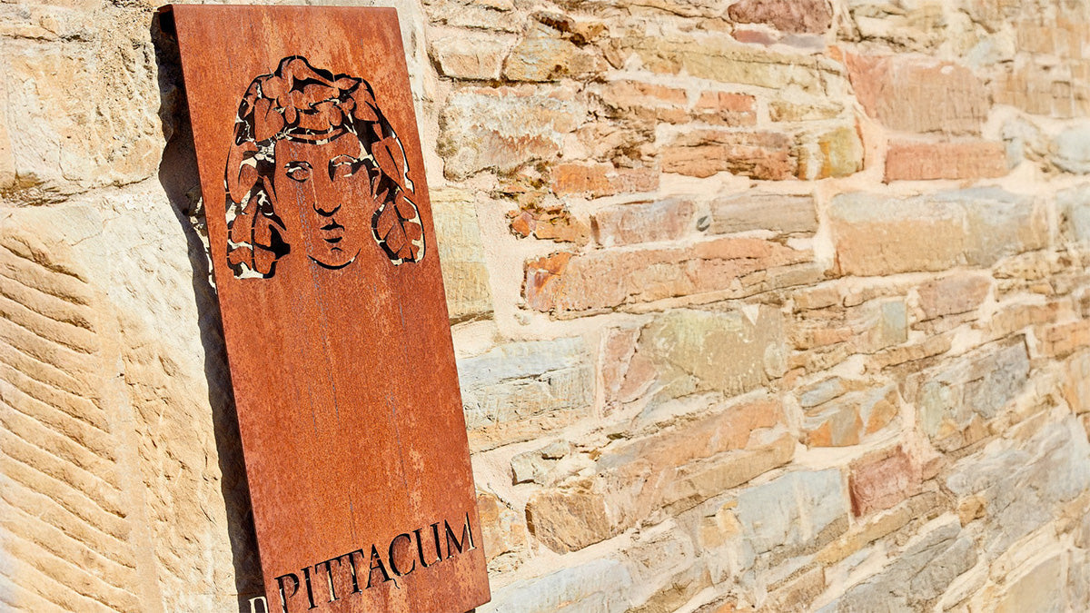 Viñedos y Bodegas Pittacum