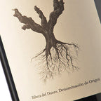 Vino tinto | PSI 2022 | Ribera del Duero | Tempranillo y Garnacha 