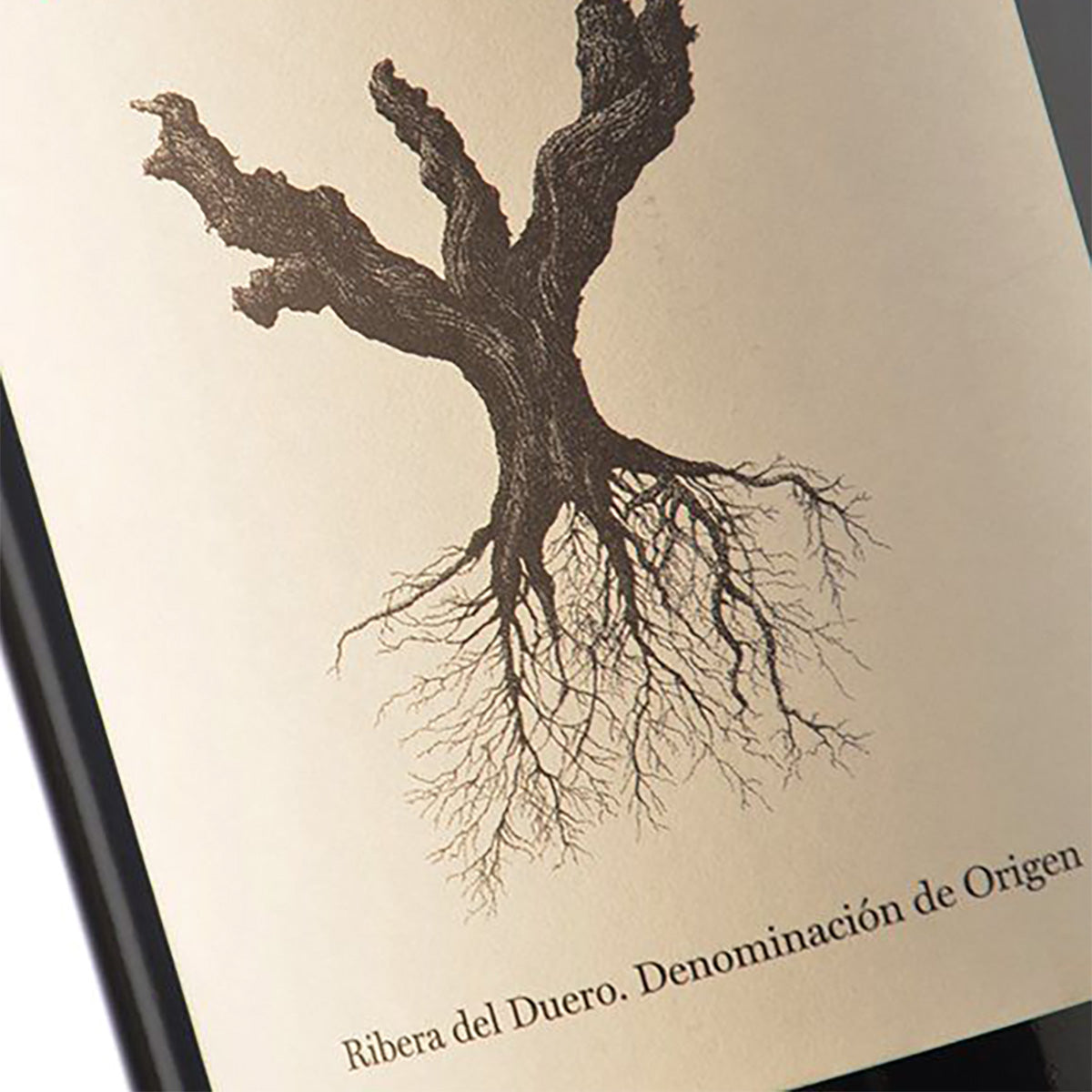 Vino tinto | PSI 2022 | Ribera del Duero | Tempranillo y Garnacha 