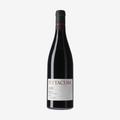 Vino tinto | Pittacum Mencía 2020 | Bierzo