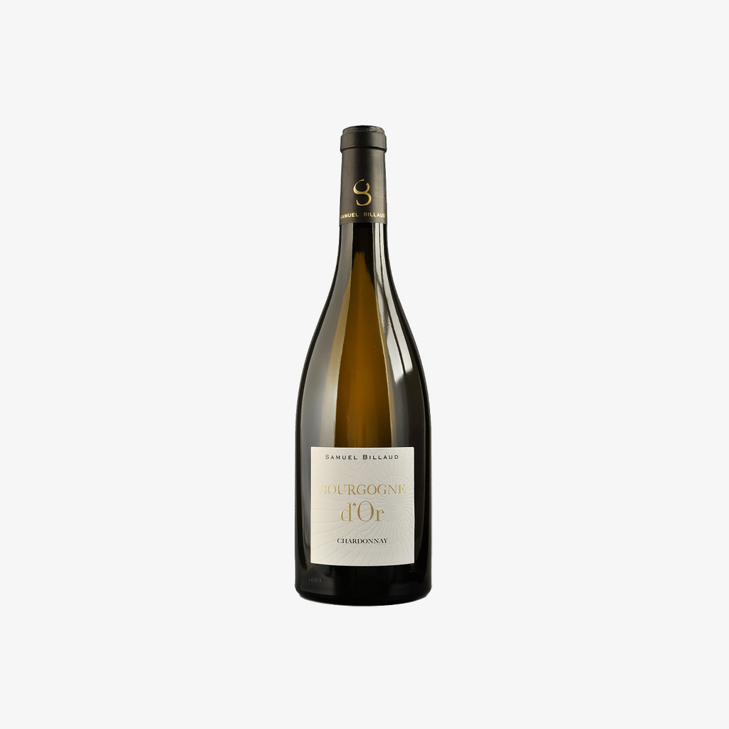 Samuel Billaud Bourgogne d'Or | A.O.C Borgoña